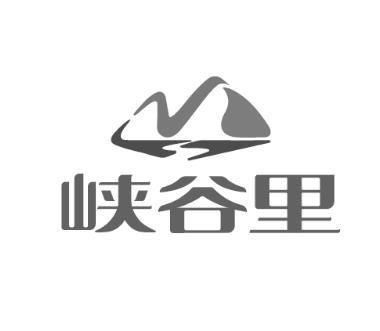 em>峡谷/em>里