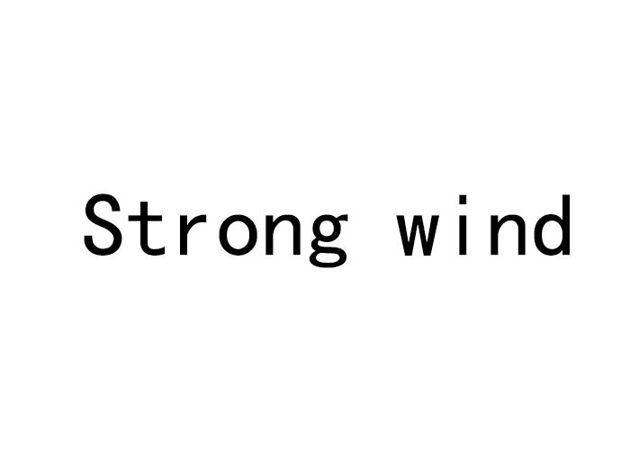  em>strong /em>  em>wind /em>