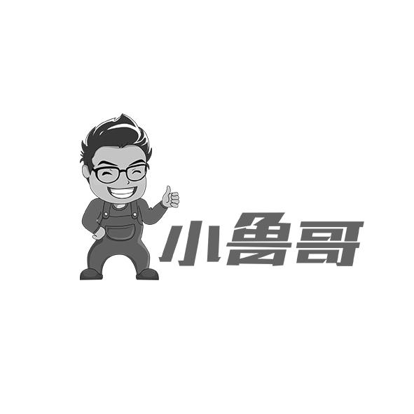 小鲁哥注册申请申请/注册号:16638462申请日期:2015-04-03国际分类:第