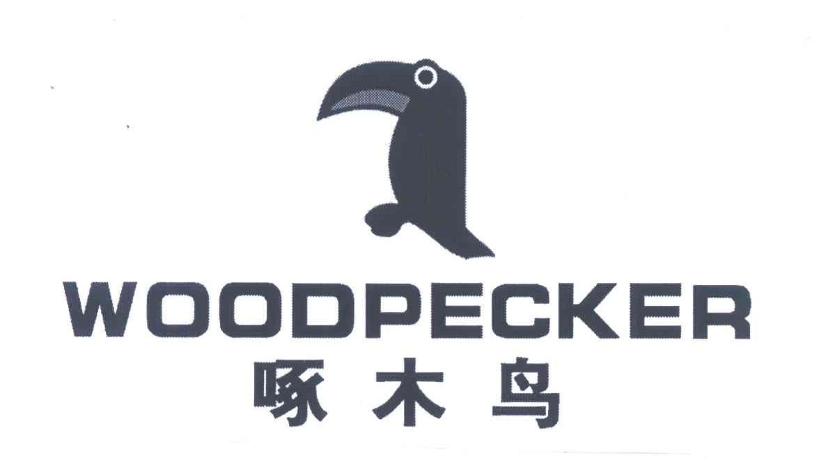 啄木鸟 woodpecker                         