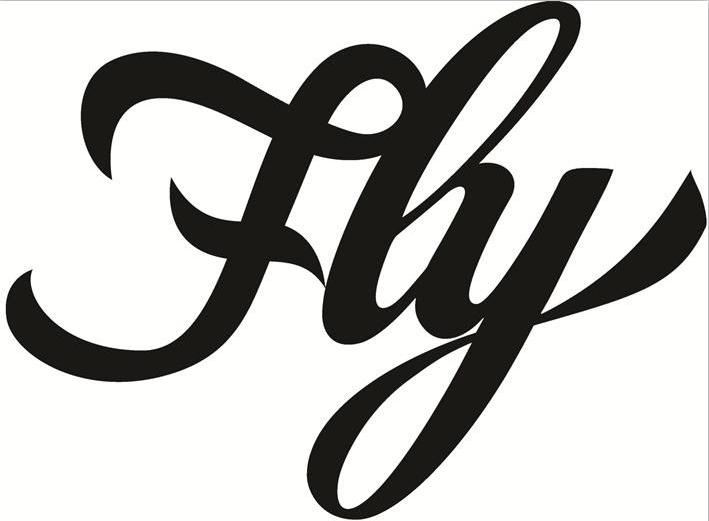 fly