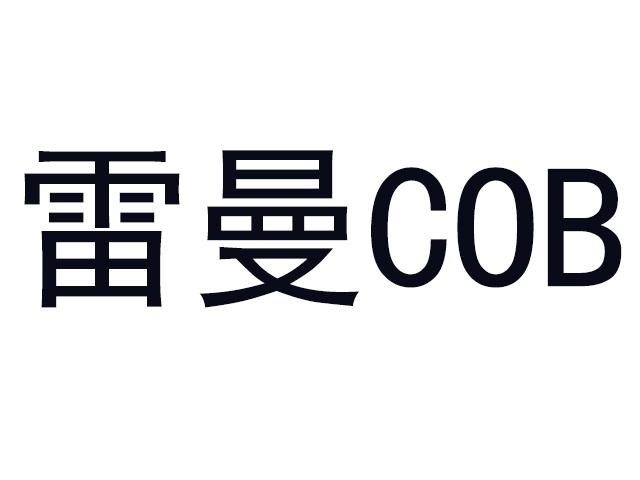 2018-08-29国际分类:第11类-灯具空调商标申请人:深圳 雷曼光电科技