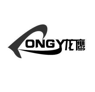 龙鹰 em>ongy /em>