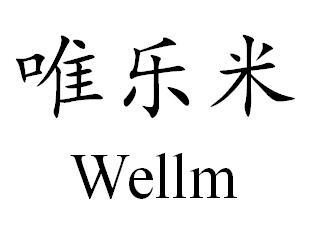 em>唯乐米/em wellm