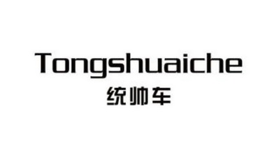  em>统帅车 /em>