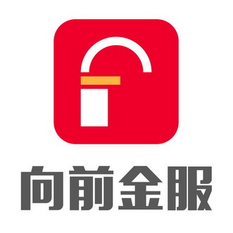 向前金服                                  