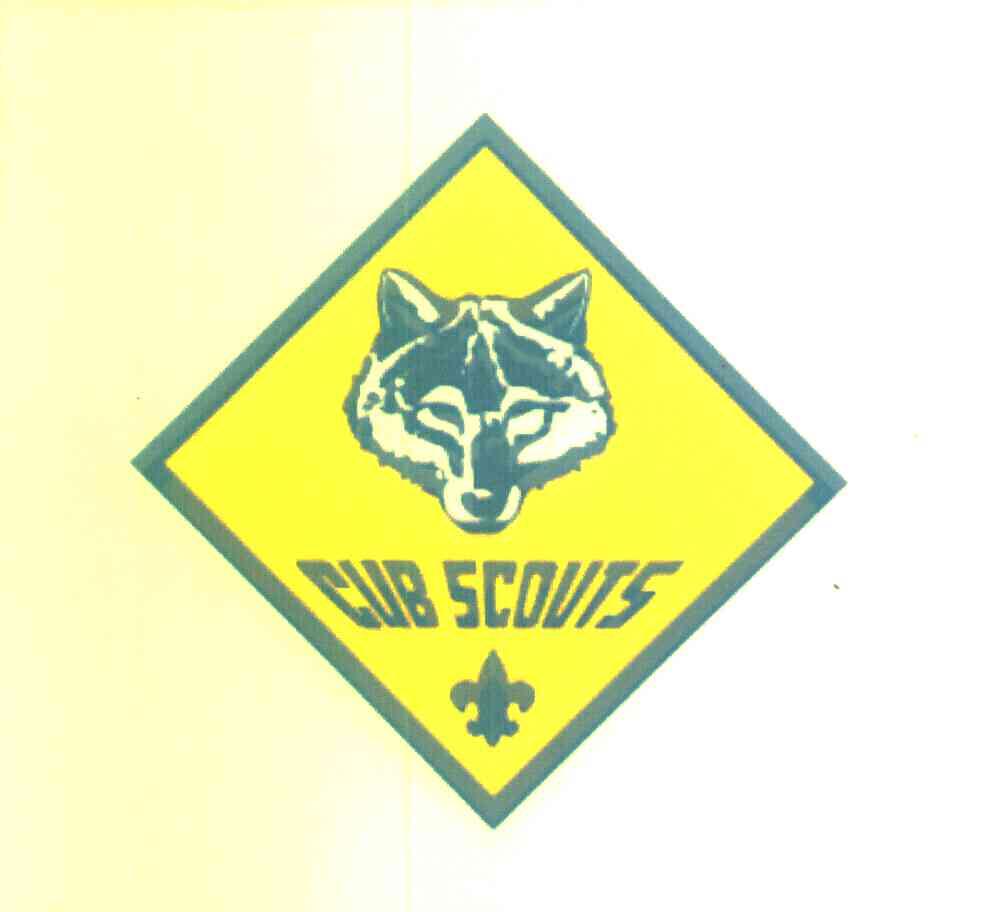 cubscouts图片