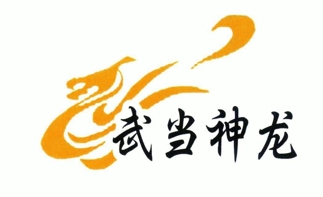  em>武当 /em> em>神龙 /em>