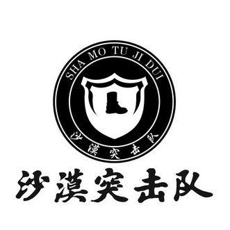  em>沙漠 /em> em>突击队 /em>