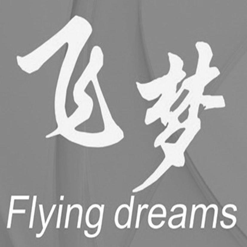 em>飞梦/em em>flying/em em>dreams/em>