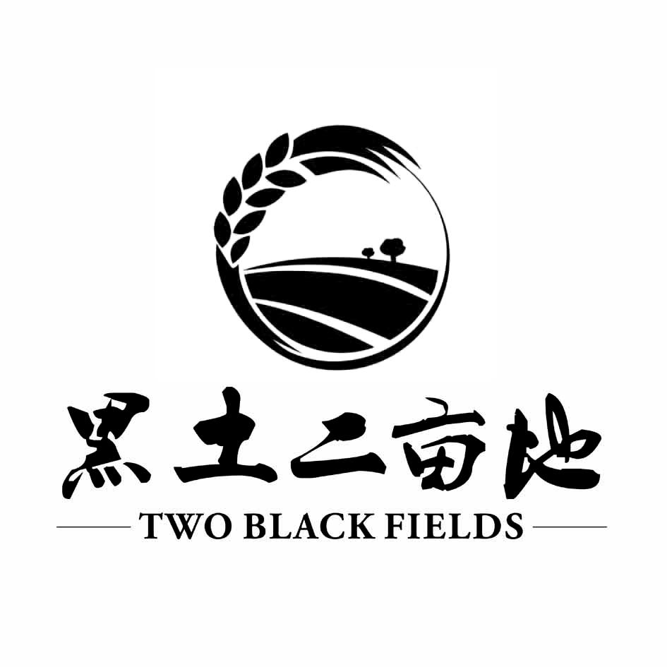 黑土二亩地 two black fields - 商标 - 爱企查