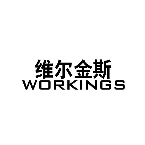 em>维尔金斯/em workings