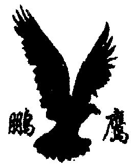  em>鹏鹰 /em>