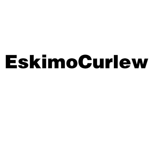  em>eskimo /em> em>curlew /em>