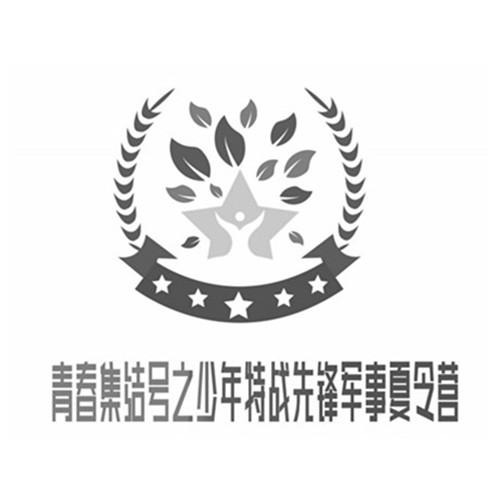 军事夏令营logo图片