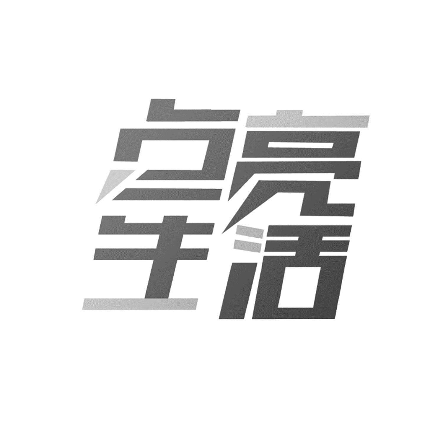 點亮生活_企業商標大全_商標信息查詢_愛企查