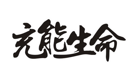 充能 生命注册