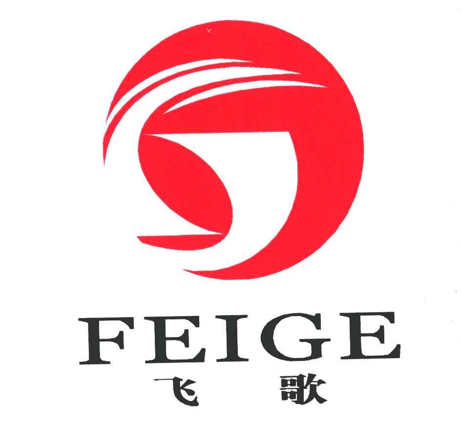  em>飞歌 /em>; em>g /em>