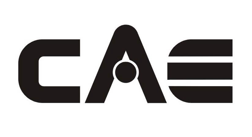 CAE - 商标查询 - 注册号8688793 - 爱企查