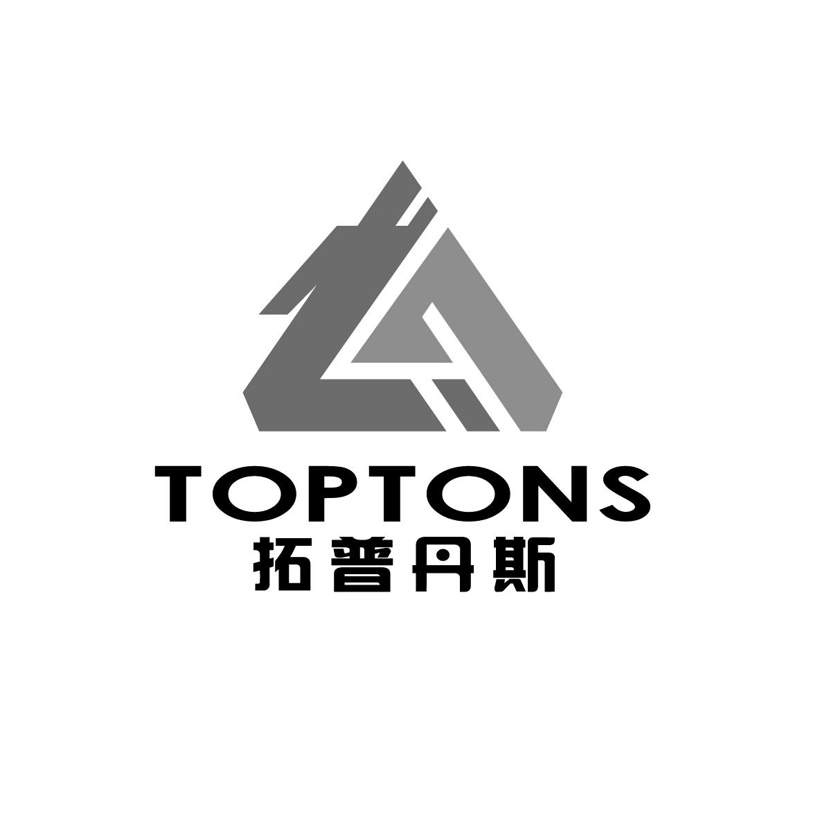 拓普丹斯 toptons