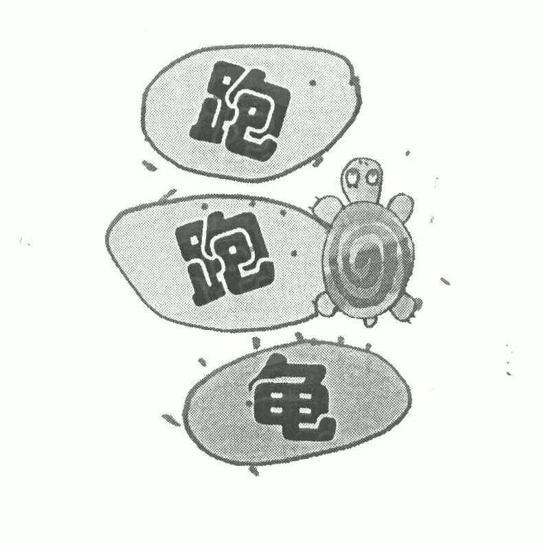  em>跑跑 /em> em>龟 /em>