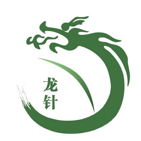  em>龙 /em> em>针 /em>
