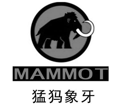  em>猛犸象牙 /em>  em>mammot /em>