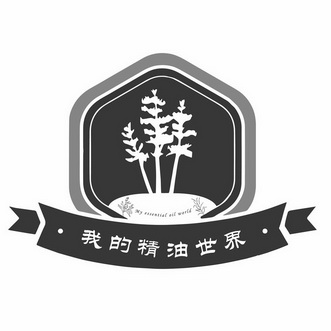 em 我 /em 的 em 精油 /em  em 世界 /em  my essential oil world