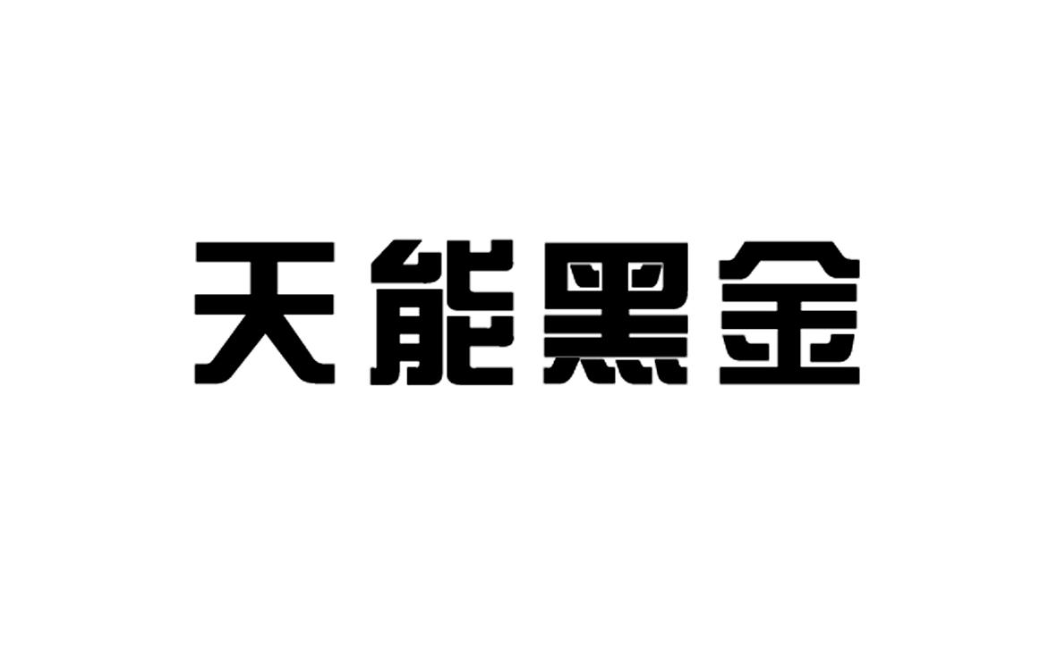 天能黑金_企业商标大全_商标信息查询_爱企查