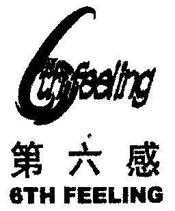 第六感; em>6th /em>  em>feeling /em>