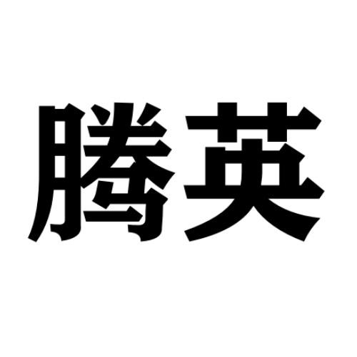 逊知识产权服务有限公司申请人:广州市腾英工业皮带有限公司国际分类