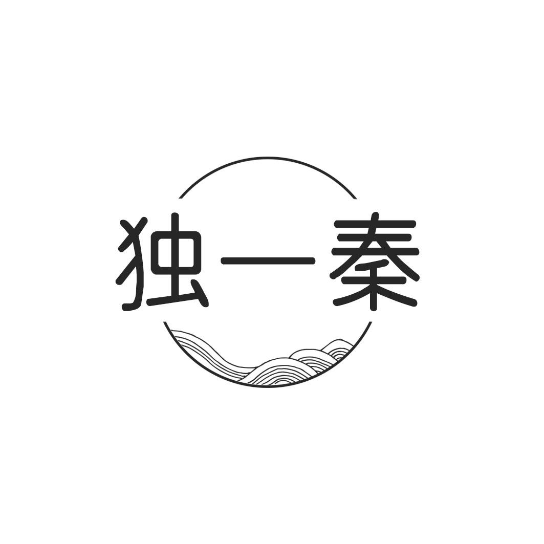 类-广告销售商标申请人:镇安西婷电子商务有限责任公司办理/代理机构