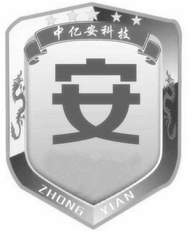 中亿安科技 安 zhong yi an