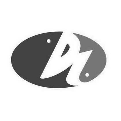 商标图案商标信息终止2029-10-27已注册2019-10-28初审公告2019-07-27