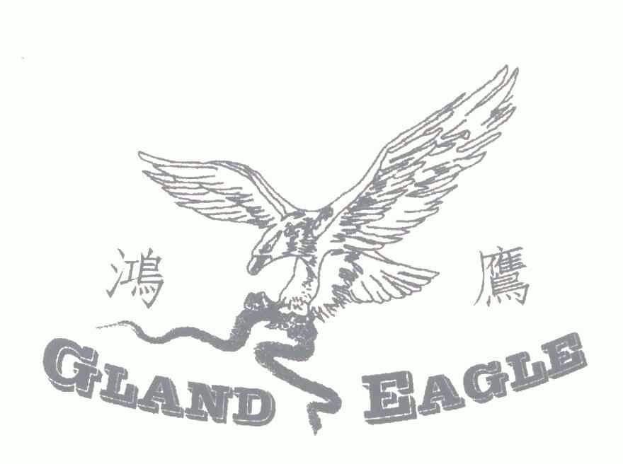 鴻鷹;gland em>eagle /em>