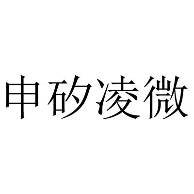 类-科学仪器商标申请人:上海申矽凌微电子科技有限公司办理/代理机构