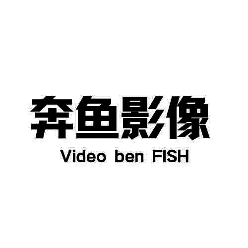 09类-科学仪器商标申请人:北京大嘴鱼文化传媒有限公司办理/代理机构