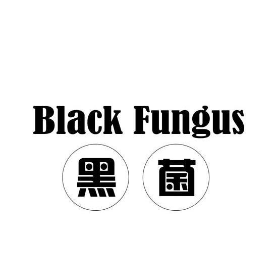  em>黑菌 /em>  em>black /em>  em>fungus /em>