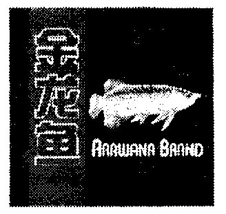金龙 鱼; arawana商标续展完成