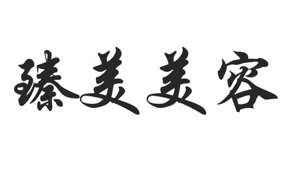 臻美美容 - 企业商标大全 - 商标信息查询 - 爱企查