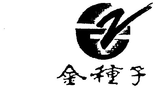 金种子 - 商标 - 爱企查