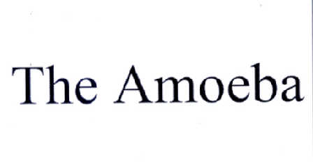 the  em>amoeba /em>