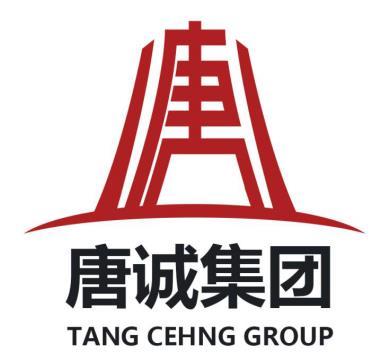 唐诚集团 tang cehng group