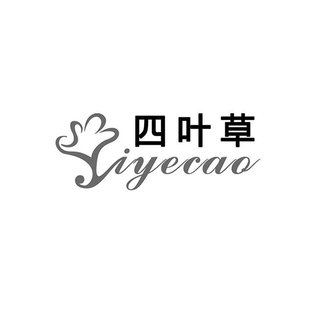 四叶草 iyecao