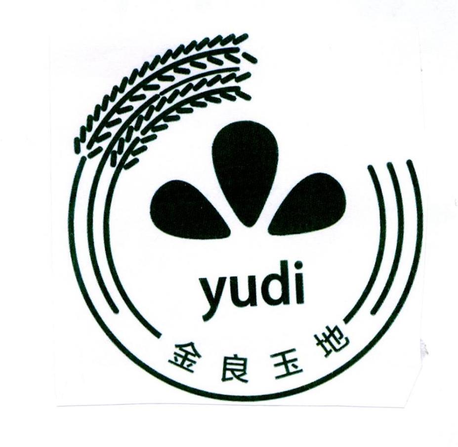 金良玉地 yudi