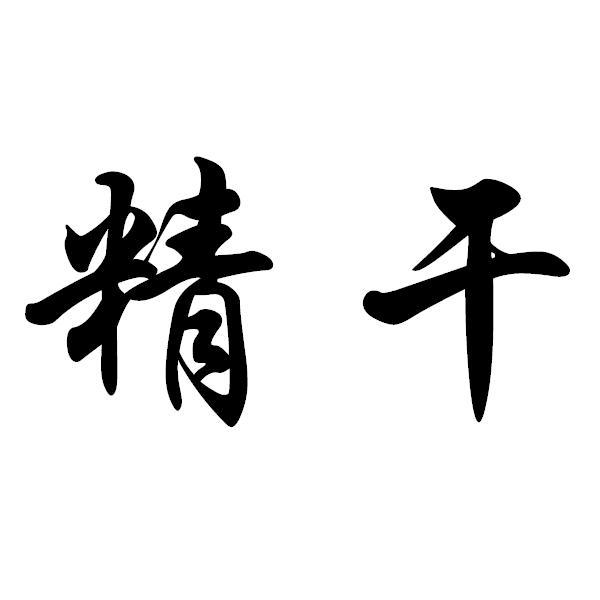精干 商标注册申请注册公告排版完成