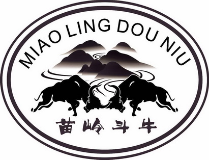  em>苗岭 /em> em>斗牛 /em>