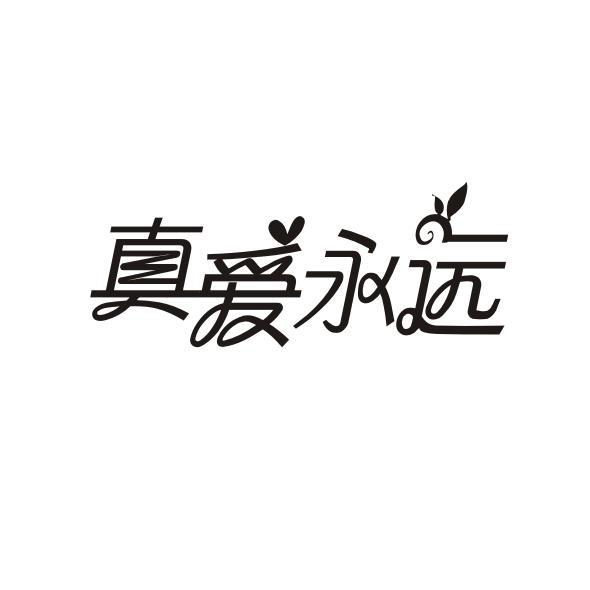 真爱永远 - 企业商标大全 - 商标信息查询 - 爱企查