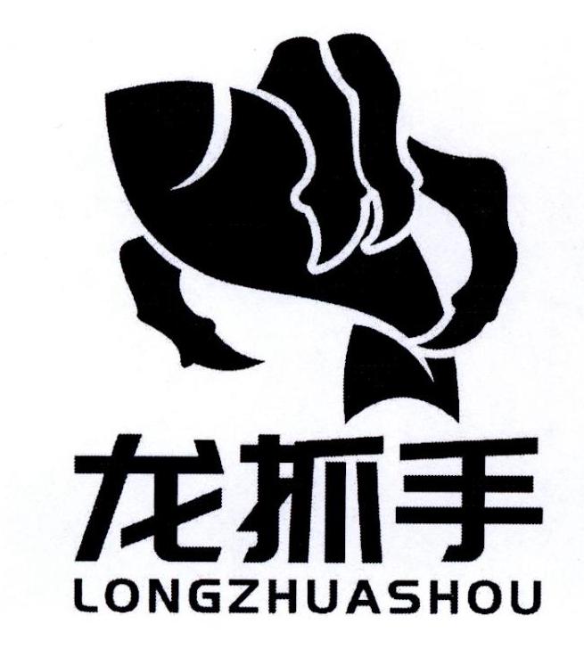  em>龙 /em> em>抓手 /em>