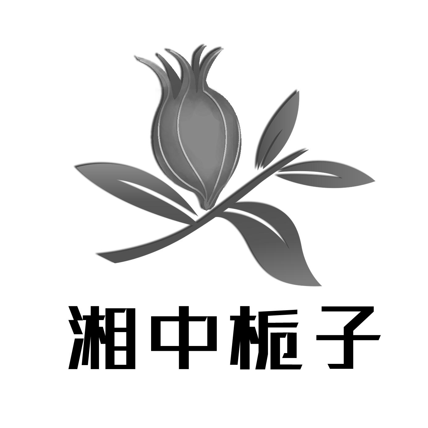 湘中栀子